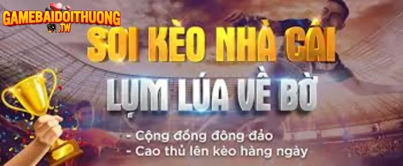 Tiện ích soi kèo nhà cái cực hữu dụng